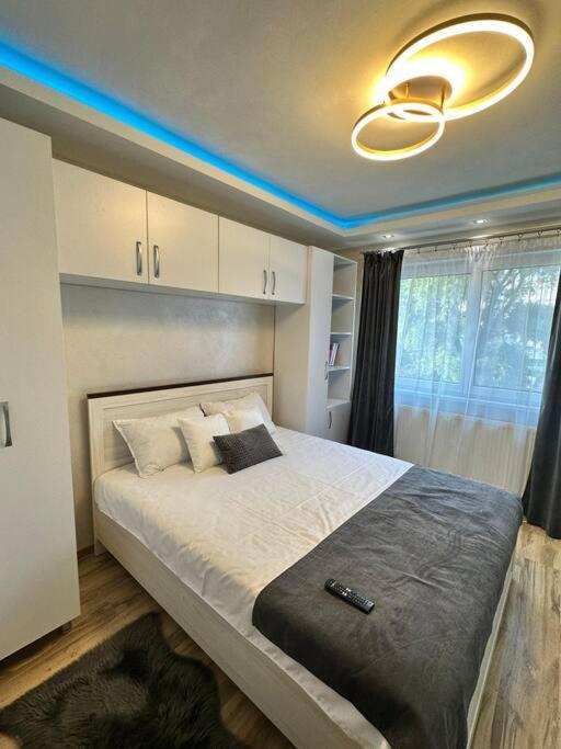 Stylish Apartment In Dambu Târgu-Mureş Extérieur photo